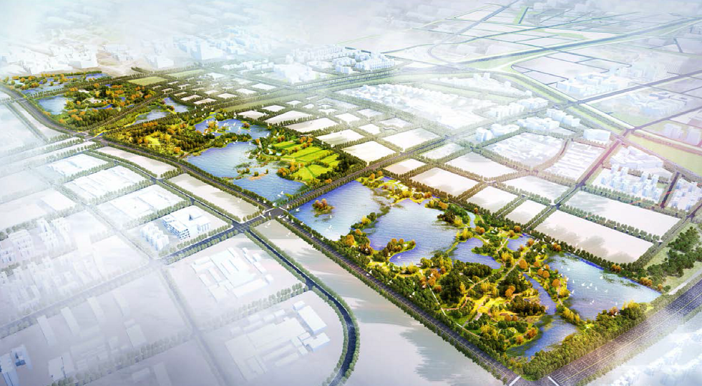 双城绿色生态屏障项目--开发区西区古海岸廊道起步区工程